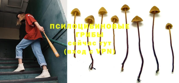 гидропоника Зеленодольск