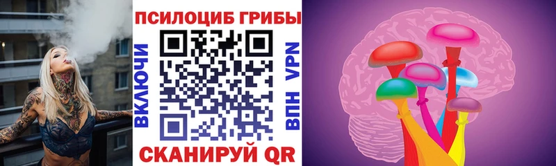 Псилоцибиновые грибы Magic Shrooms  Купить где  Шилка 